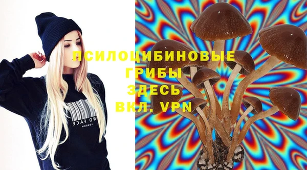бошки Михайловка