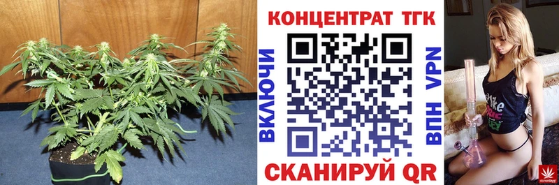 кракен рабочий сайт Нефтекумск Дистиллят ТГК Wax