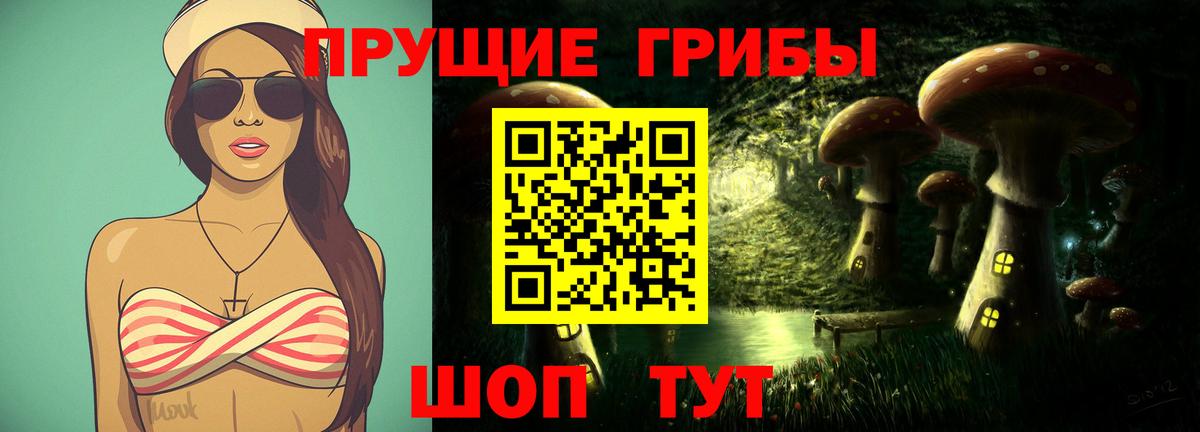 Псилоцибиновые грибы Cubensis  Псилоцибиновые грибы GOLDEN TEACHER  Вход с VPN  как найти наркотики  Нефтекумск 